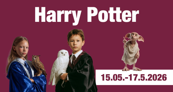 Svet Harryho Pottera